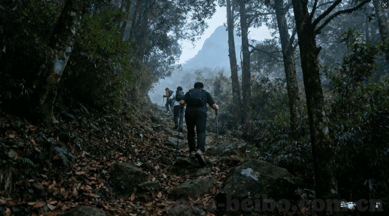 炸金花房卡多少钱-炸金花房卡价格探析